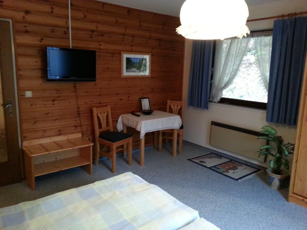 バート・ゴイーザーンHaus Chorinskyklauseアパートメント 部屋 写真